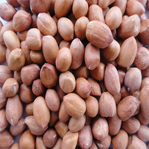 dehydrated white onion, dehydrated red onion, dehydrated pink onion, dehydrated garlic, dehydrated onion,